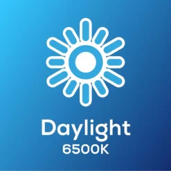 TCP Filament Globe Coat 40W SES Cool Dimmable Light Bulb 9 TCP Filament Globe Coat 40W SES Cool Dimmable Light Bulb -None || EGLO || Energizer Sales 12824597 1225022111812169