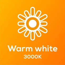 TCP LED Globe 40W SBC Warm Nd Light Bulb - 2 Pack -None || EGLO || Energizer Sales 12826527 1705022112453560