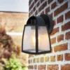 Lutec Kelsey Outdoor Wall Lantern - Black