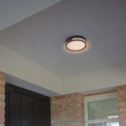 Lutec Rola LED Outdoor Bulkhead Light - Anthracite -None || EGLO || Energizer Sales 12840746 2044952683020768