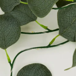 None Eucalyptus Battery String Lights -None || EGLO || Energizer Sales 12842407 9004867915211463