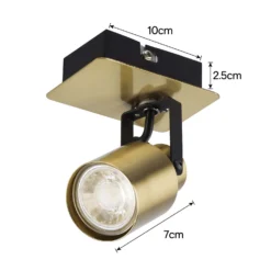Lucy Single Lamp Spotlight - Gold & Black -None || EGLO || Energizer Sales 12882218 1964843518529632