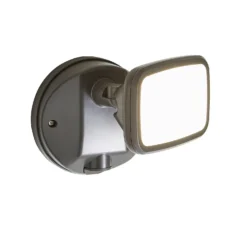Lynn 1 Light Outdoor Wall Light (IP65) - Dark Grey -None || EGLO || Energizer Sales 13924377 7054980108048096